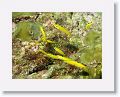 06-Bequia - 08